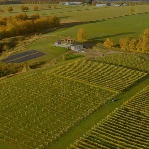 Aerial View of the Petoskey Wine Region in Northern Michigan